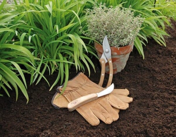 Garden Pruning set with gloves in use image