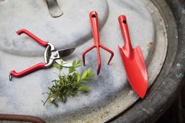 Gardening Pruner shown as part of the range of tools image