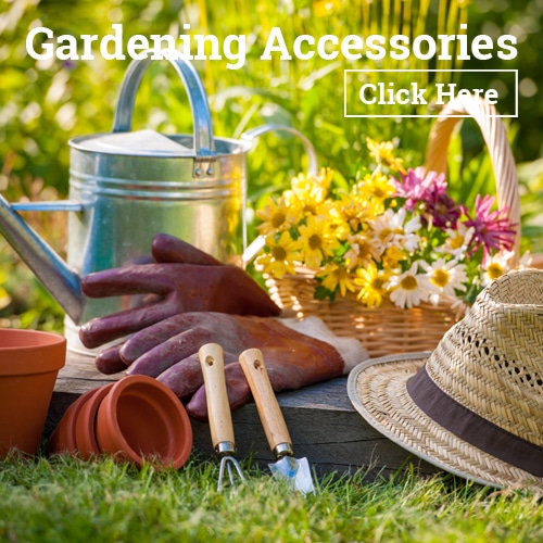 Gardening Accessories collection square image