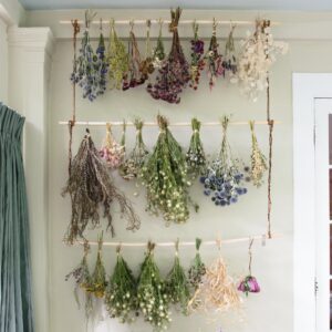 Dried Flowers