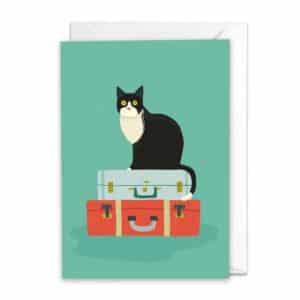blacj white cat sat on a blue and red suitcase. With a green background