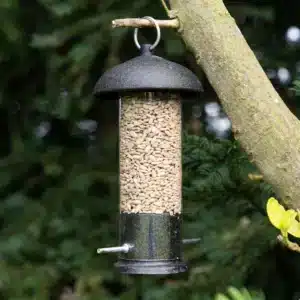 sunflower seed bird feeder in black
