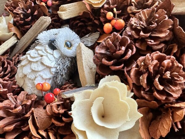 Wreath made up of cones with berries andan owl in the centre close up picture