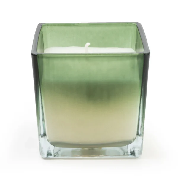 green fig and apple candle