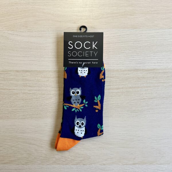Blue Owls sock