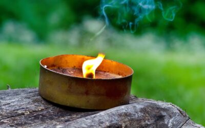 Citronella, the Unsung Hero of Al Fresco Living