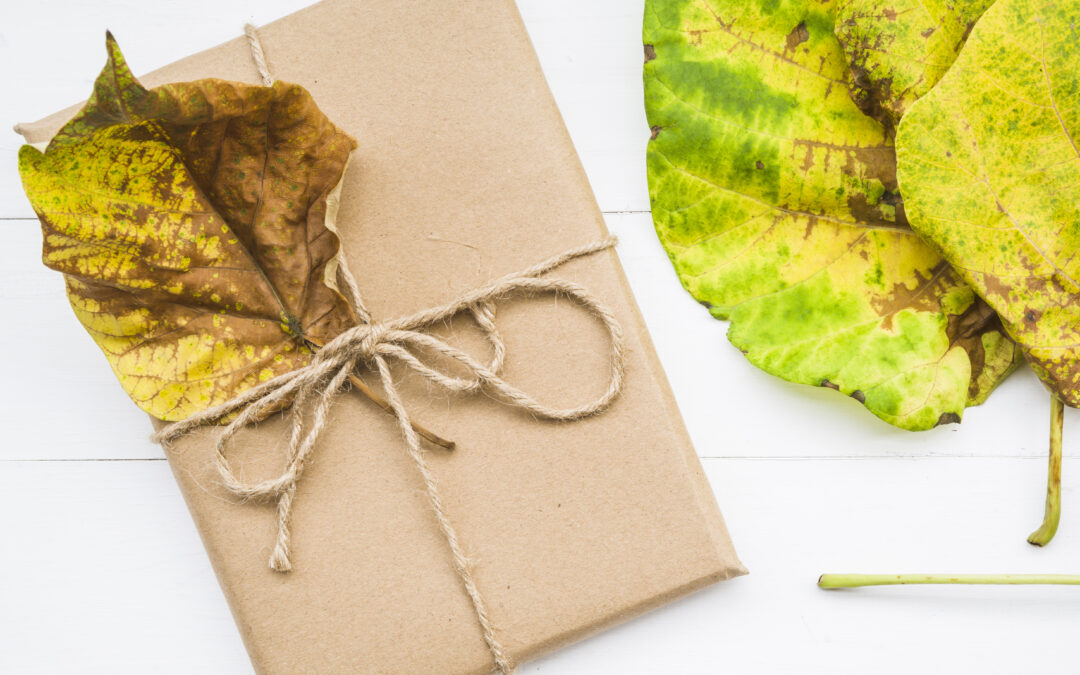 Eco-Friendly Resolutions: Sustainable Gifts for a Greener Year | One & Every