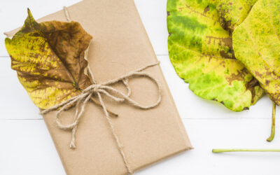 Eco-Friendly Resolutions: Sustainable Gifts for a Greener Year | One & Every