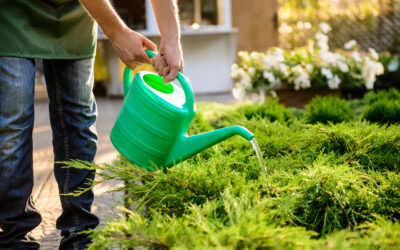 Garden Wildlife Products for a Greener Garden | One & Every