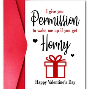 I_GIVE_YOU_PERMISSION_TO_WAKE_ME_UP_IF_YOU_GET_HORNY_HAPPY_VALENTINES_DAY_CARD